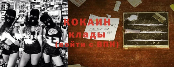 гашик Аркадак