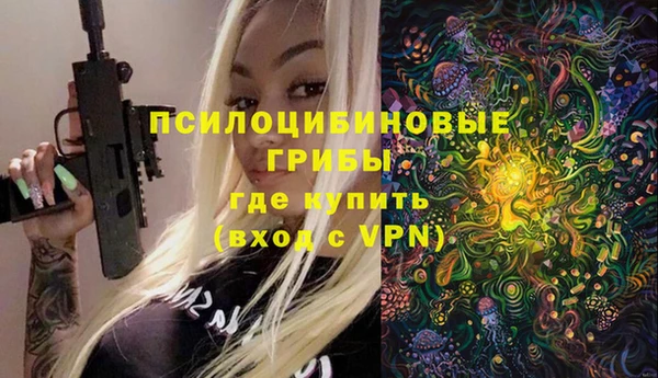 дмт Баксан