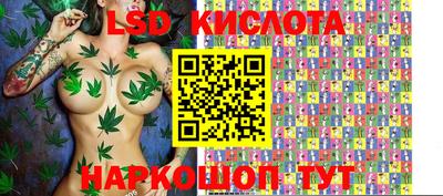 spice Кулебаки