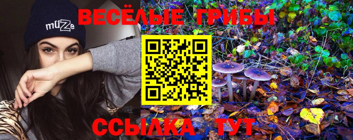 Дзержинск  Псилоцибиновые грибы Psilocybine cubensis  Вход с VPN 